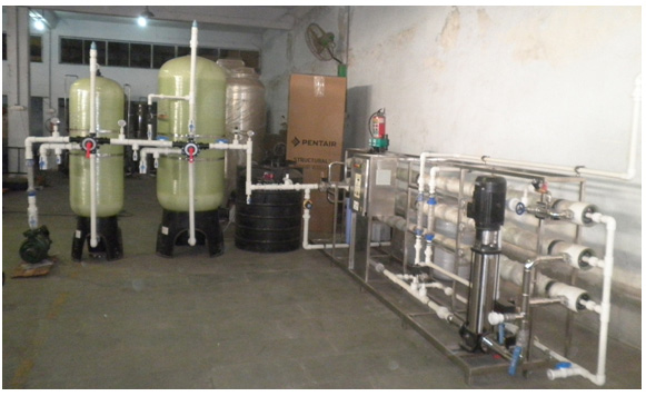 Brackish Water Plant