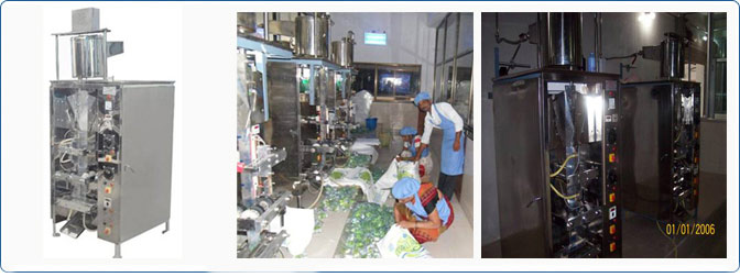 Pouch