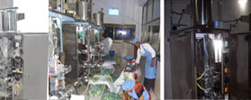Pouch Packing Machine